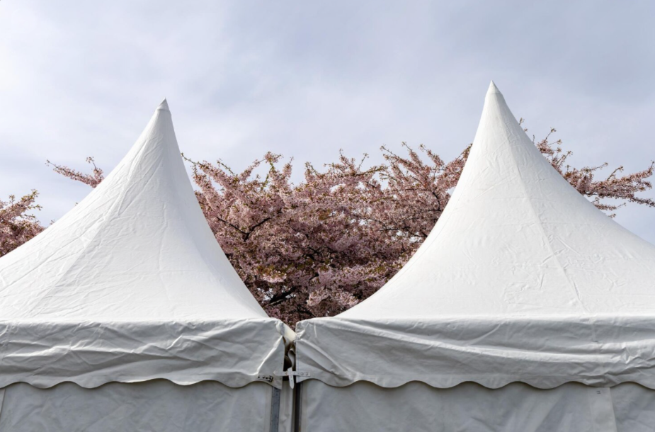 Alquiler de carpas en Bizkaia 1